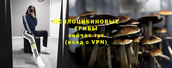 метадон Медногорск