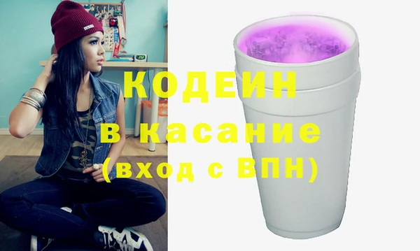 СК Сосновый Бор