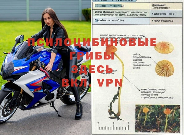 метадон Медногорск
