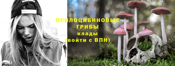 дживик Медвежьегорск